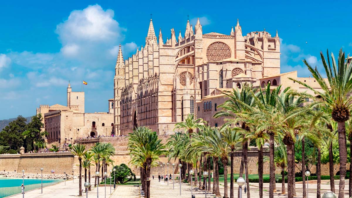Erfahrung im Projektmanagement auf Mallorca